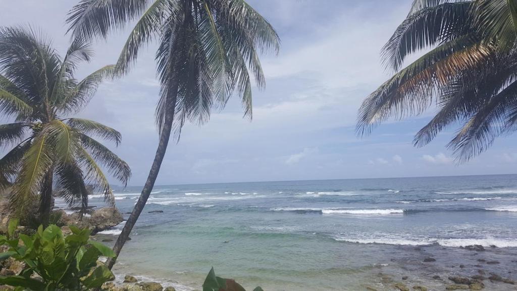 Donamae 2 Story Barbados House Vila Bridgetown Exterior foto